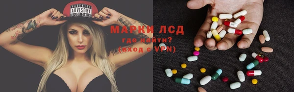 ГАЛЛЮЦИНОГЕННЫЕ ГРИБЫ Сосновый Бор