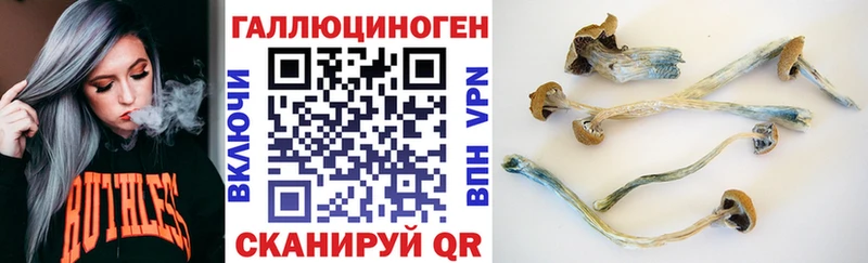 Псилоцибиновые грибы Psilocybe  магазин продажи   Оха 